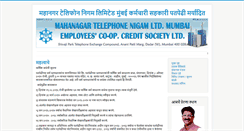 Desktop Screenshot of mtnlcs.com